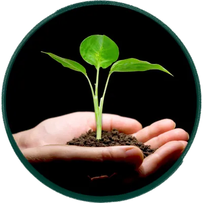 Network Marketing Başlangıç